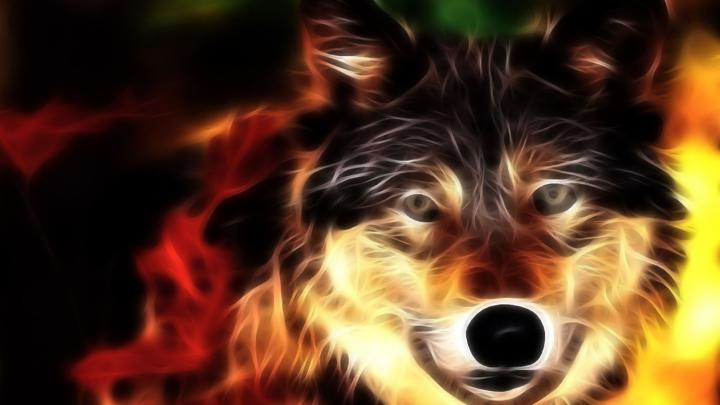Animated Wolf Wallpaper (64+ images)