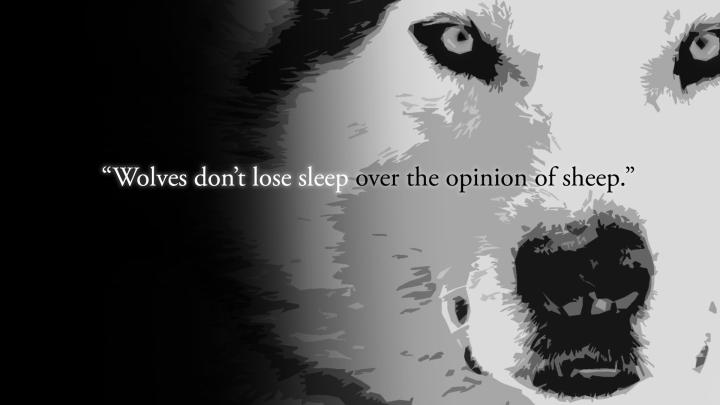 Quote HD Wallpaper | Background Image | 1920x1080 | 437221 