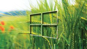 Windows 10 Green Wallpaper 1920x1080