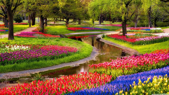 4K Cute Spring Wallpapers - Top Free 4K Cute Spring Backgrounds 