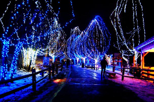 3D Animated Christmas Wallpapers (62+ images)