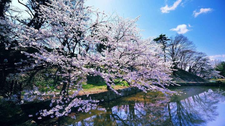 Spring Desktop Backgrounds (72+ images)
