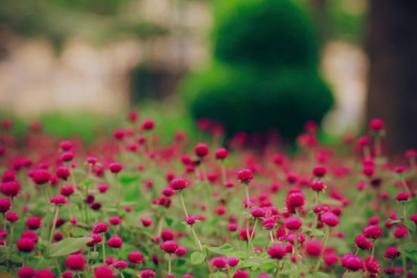 Spring Wallpapers Desktop \u00b7\u2460 