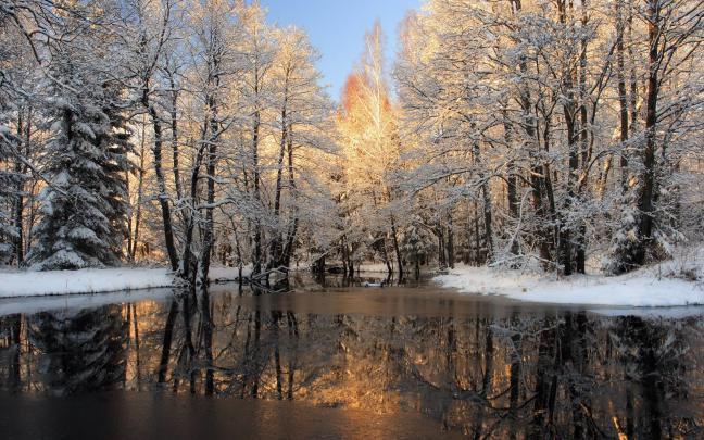 Wallpaper Winter Scenes (58+ images)