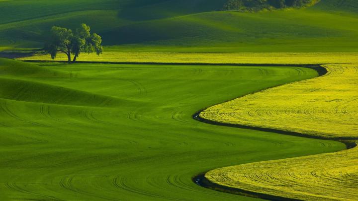 Green Desktop Wallpaper (77+ images)