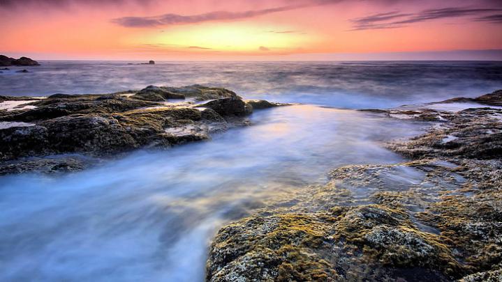 10+ Nature Background Image 1920x1080 - Green Wallpaper
