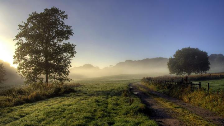21+ Background Nature Images 1920x1080 - Green Wallpaper