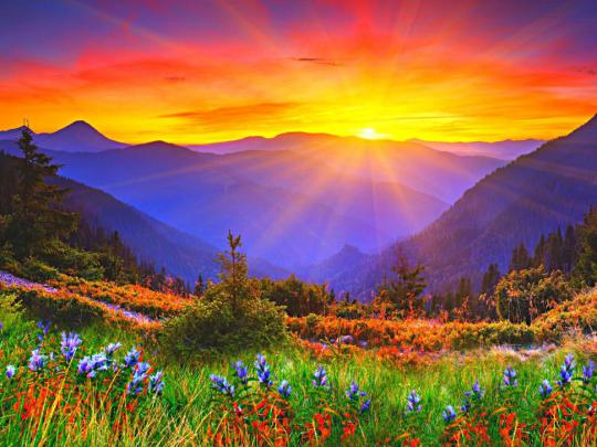 Sunrise, dawn, mountains, grass, flowers wallpaper | nature and 