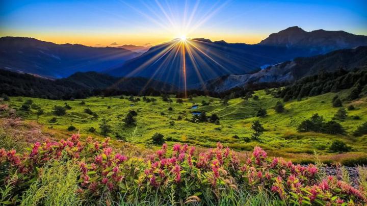 Mountains, meadow, sunrise, flowers, beautiful scenery wallpaper 