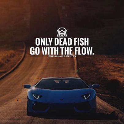 Millionaire Motivation Wallpapers - Top Free Millionaire Motivation 