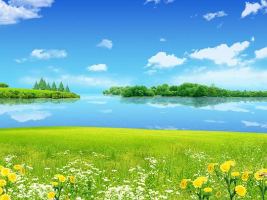 Moving Nature Wallpapers - Top Free Moving Nature Backgrounds 