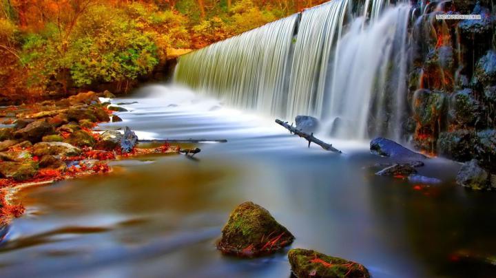 Moving Nature Wallpapers - Top Free Moving Nature Backgrounds 