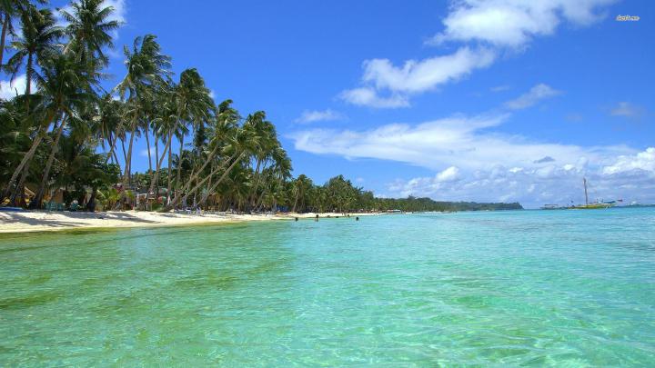 [26+] 1920 x 1080 Tropical Wallpaper 
