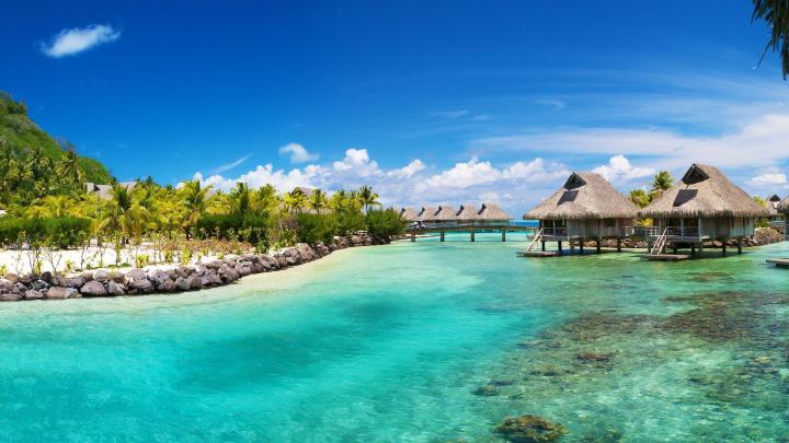 Full HD Tropical Wallpapers - Top Free Full HD Tropical Backgrounds 