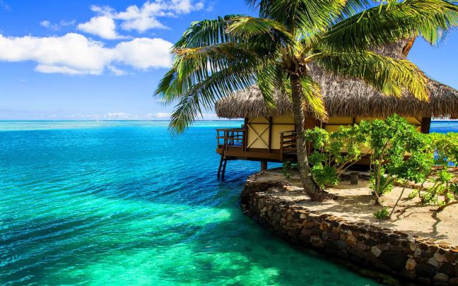 Tropical Wallpaper (65+ images)