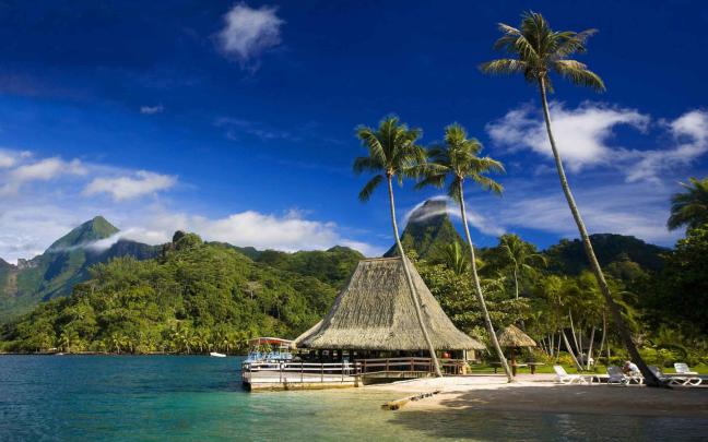 Tropical Background Images \u00b7\u2460 