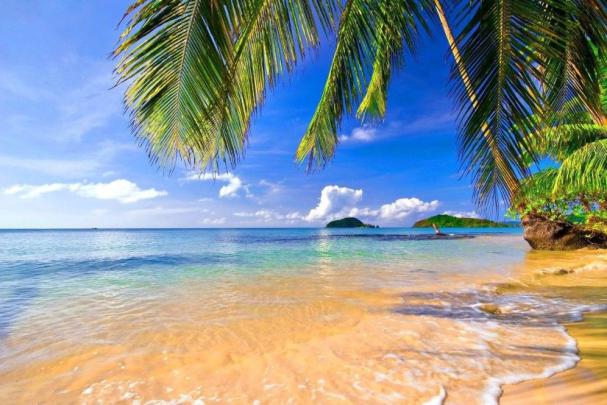 Tropical Wallpaper Desktop \u00b7\u2460 