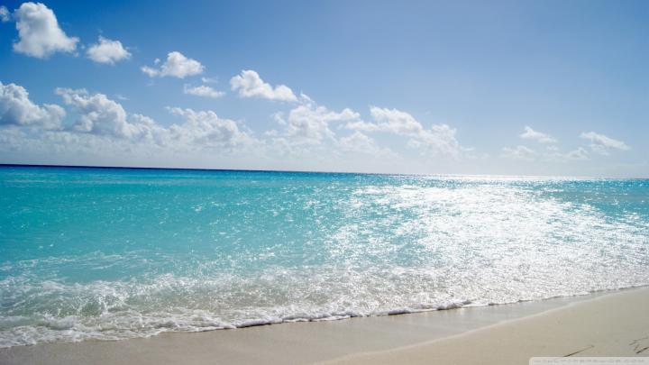 [30+] Tropical Wallpaper 1920x1080 
