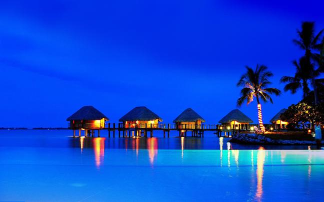 Tropical Wallpaper Backgrounds \u00b7\u2460 