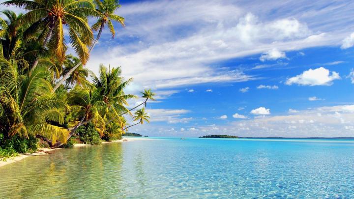 1920 x 1080 Tropical Wallpaper -