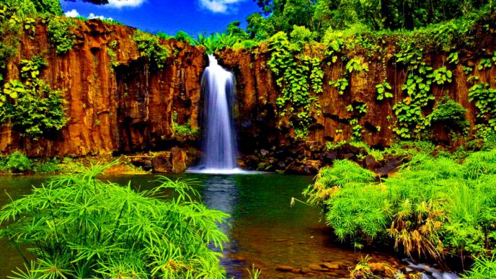 Free download Tropical Waterfall Computer Wallpapers Desktop 