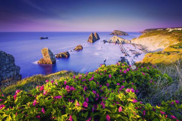 Desktop Backgrounds Tropical \u00b7\u2460 