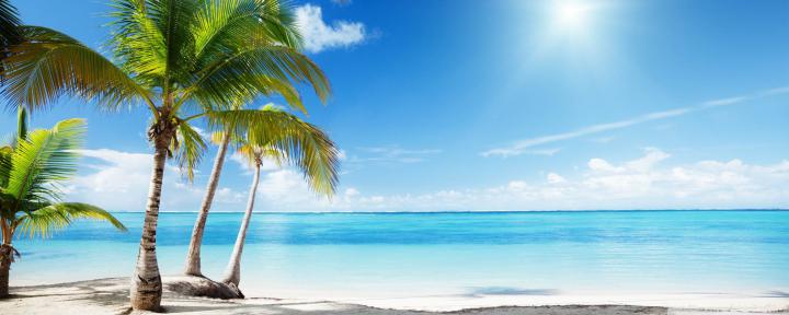 High Resolution Tropical Wallpapers - Top Free High Resolution Tropical 