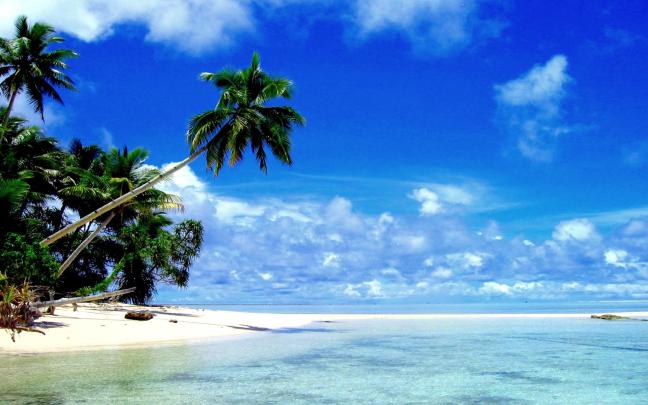 Tropical Background Images \u00b7\u2460 
