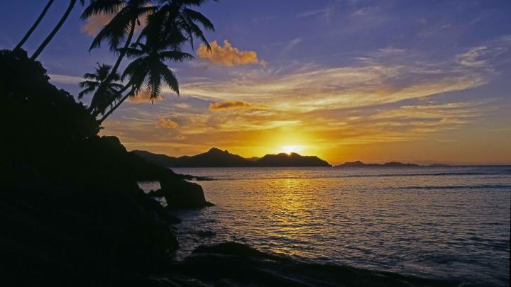[30+] Tropical Wallpaper 1920x1080 