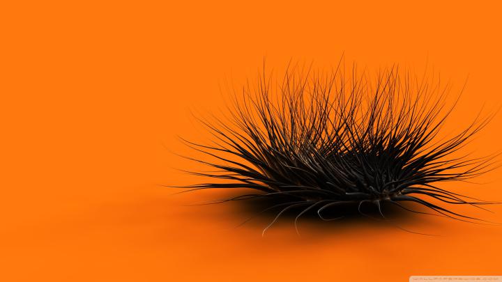 Orange Wallpaper Hd 4k - 1920x1080 Wallpaper - teahub.io