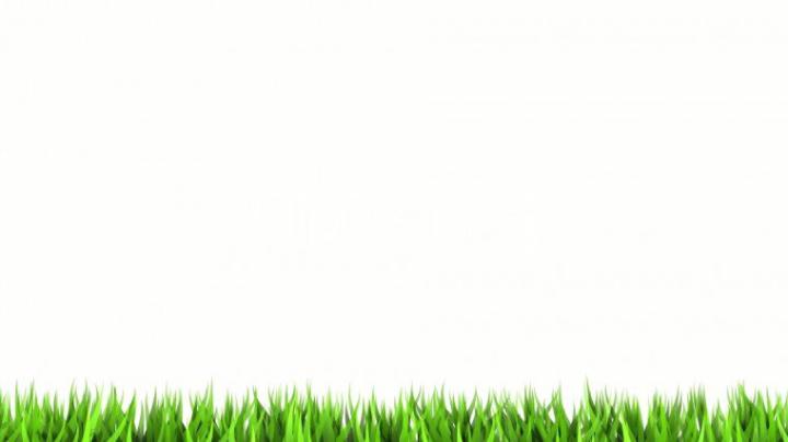 Free download 1920x1080 White Solid Color WHITE [1920x1080] for your 
