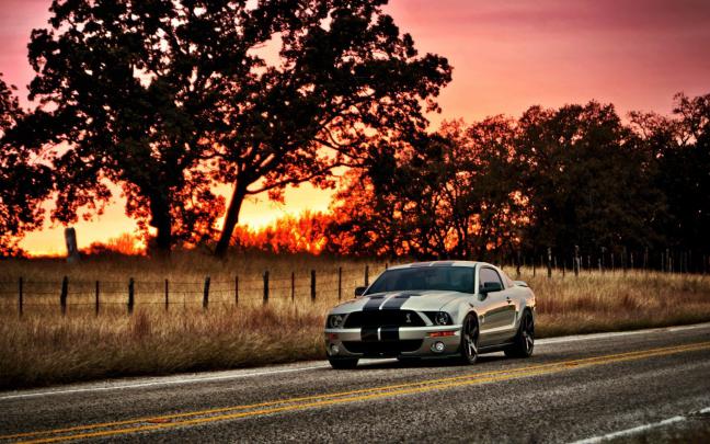 Mustang HD Wallpaper -