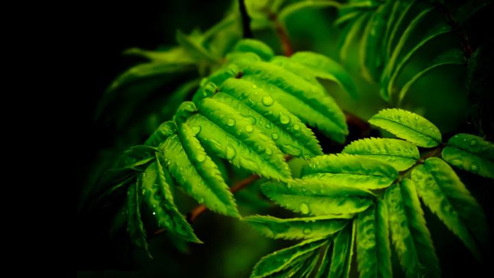 4K wallpaper: 4k Resolution 4k Wallpaper For Pc 1920x1080 Download