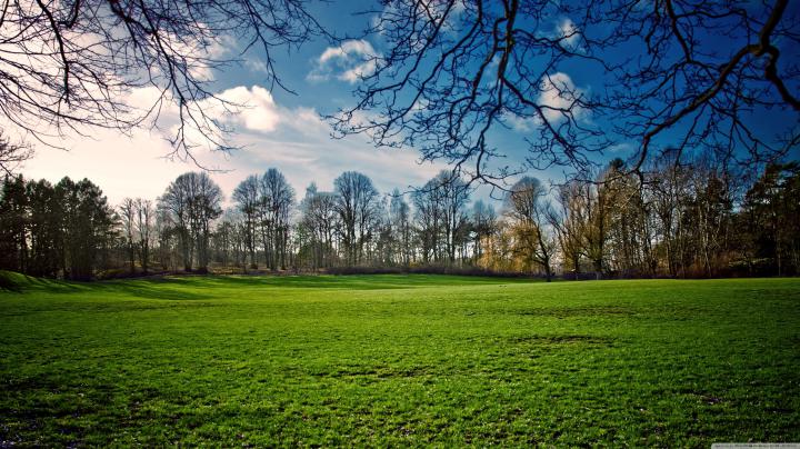 Beautiful Spring Wallpapers (74+ background pictures)