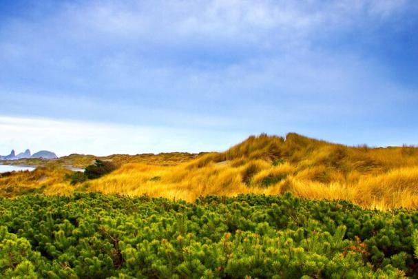 Nature Wallpaper 1600x900 \u00b7\u2460 