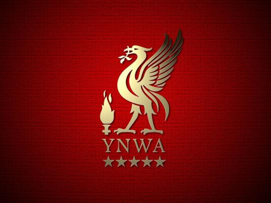 Liverpool Fans Wallpapers - 4k, HD Liverpool Fans Backgrounds on 