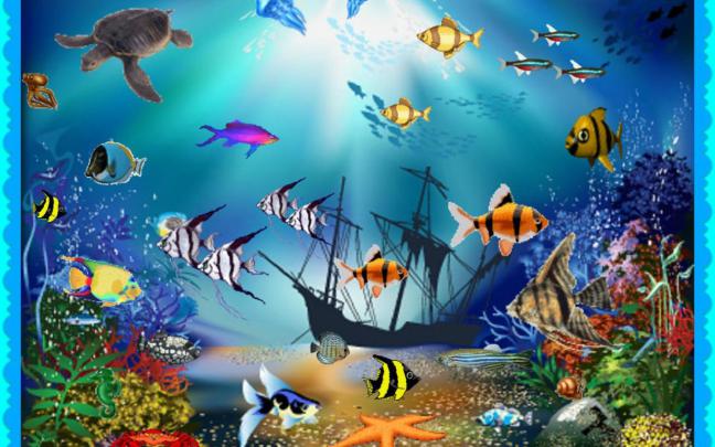 Aquarium HD 1080p Wallpaper -