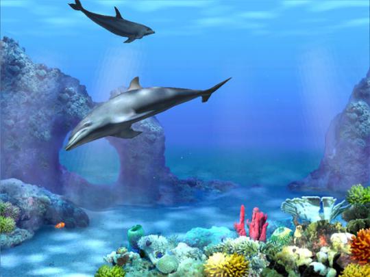 Aquarium Live Wallpaper Windows 10 -