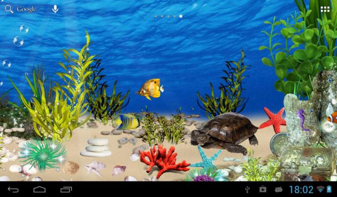 Aquarium HD 1080p Wallpaper -