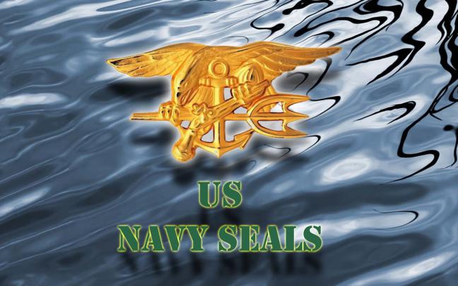 Free download Wallpaper 1920x1080 Military Special Forces Navy Seals 