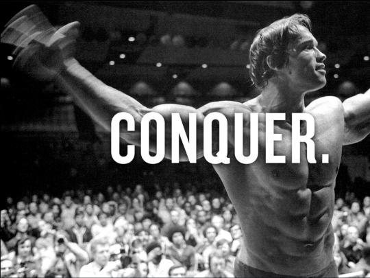 Arnold Schwarzenegger Conquer Wallpaper (73+ images)