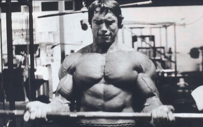 Arnold Schwarzenegger Conquer Wallpaper -
