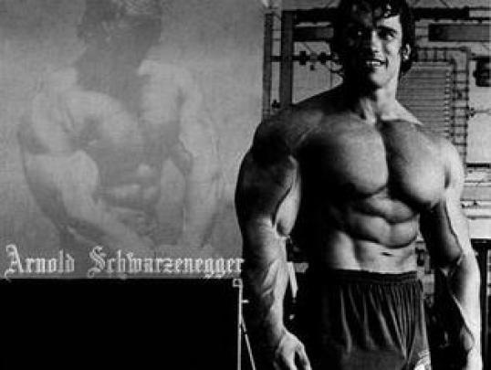 [48+] Arnold Schwarzenegger Conquer Wallpaper 
