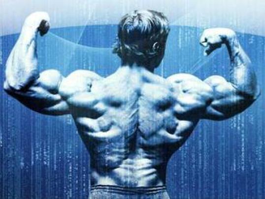 [48+] Arnold Schwarzenegger Conquer Wallpaper 