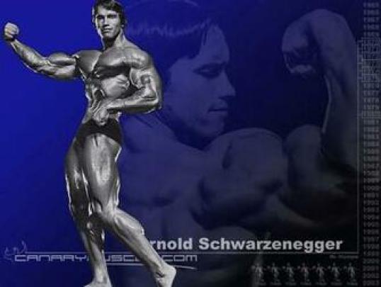 [48+] Arnold Schwarzenegger Conquer Wallpaper 