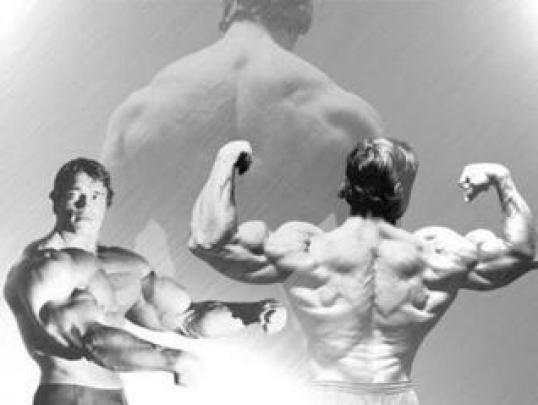 [48+] Arnold Schwarzenegger Conquer Wallpaper 