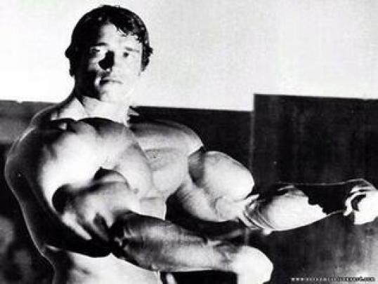 [48+] Arnold Schwarzenegger Conquer Wallpaper 