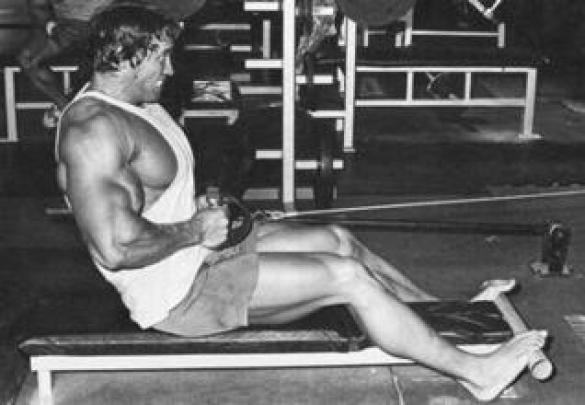 [48+] Arnold Schwarzenegger Conquer Wallpaper 