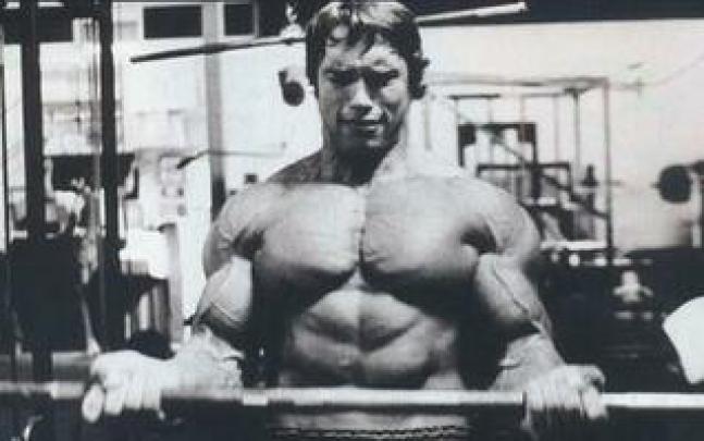 [48+] Arnold Schwarzenegger Conquer Wallpaper 