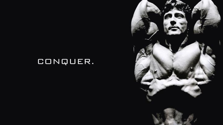 Arnold Schwarzenegger Conquer Wallpaper (73+ images)